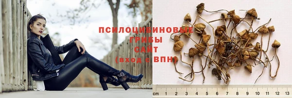 молекула духа Абинск