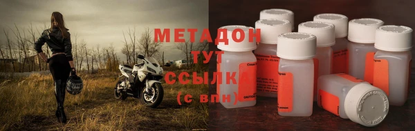 прущие грибы Абдулино