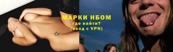прущие грибы Абдулино