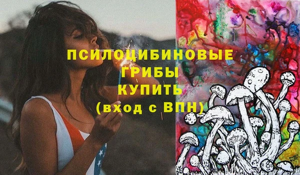 прущие грибы Абдулино