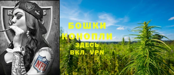 прущие грибы Абдулино