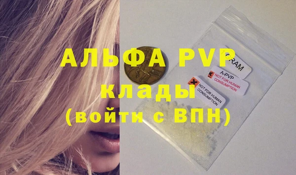 прущие грибы Абдулино