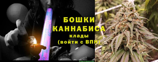 прущие грибы Абдулино