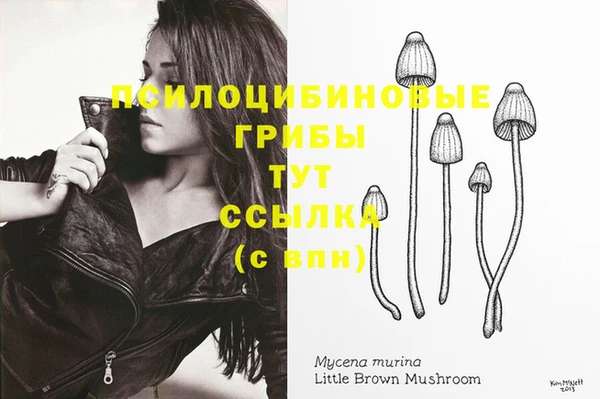 молекула духа Абинск