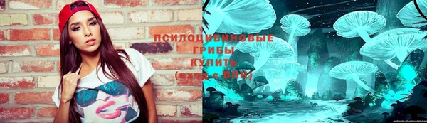 молекула духа Абинск