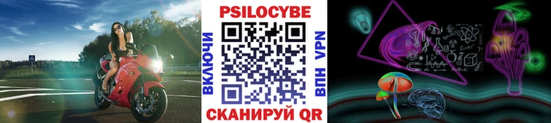 Псилоцибиновые грибы мицелий  blacksprut зеркало  Одинцово  наркошоп 